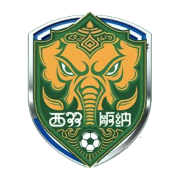 德宏队